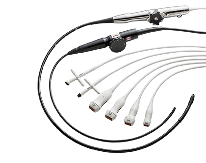 Transducer family image